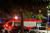 Инцидент при дървения мост в парк “Бачиново”