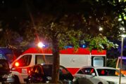 Инцидент при дървения мост в парк “Бачиново”