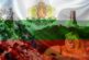23 юли: Пламъците над Плиска и страшната цена на триумфа, вижте какво се е случило на този ден в историята