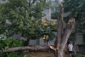 В ОКОТО НА БУРЯТА! Ураганът в Пиринско изкорени дървета, отнесе покриви на къщи, светофар и улични лампи, наводни улици с търкалящи се камъни, свлачище блокира Креснеското дефиле, токът спря и мълнии запалиха пожари (ОБЗОР)