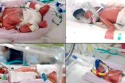 Семейство посрещна еднояйчни четиризначки