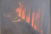 Горски пожар край Хърсово, целият наличен състав на ДГС - Благоевград е на терен, има и доброволци