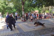 Демонстрация на полицейски кучета и беседа по пътна безопасност се проведоха в Земен