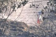Известният благоевградчанин Георги Стойчев-Бъзи: Пожарът в с. Дъбрава обедини хората срещу стихията