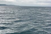 Какво е състоянието на река Дунав в момента