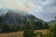 Няколко пожара гасиха служители и техника на ЮЗДП