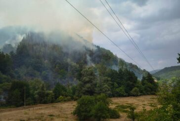 Няколко пожара гасиха служители и техника на ЮЗДП