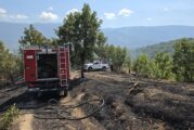 Кметът на Петрич: ВНИМАНИЕ! Осми пожар за по-малко от седмица в района от село Първомай към ГКПП “Златарево”, палежите са умишлени