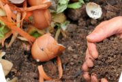 Готов е първият компост от анаеробната инсталация край село Бучино
