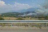 Пожар гори край Дупница в близост до магистрала 