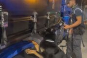 Български шофьор на тир е арестуван в Италия с над 85 кг наркотици за над 3 млн. евро