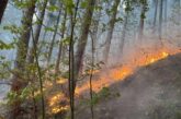 Пожар обхвана 100 дка гора край невестинското с. Тишаново