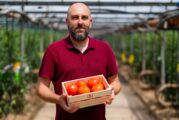Централният склад на Kaufland: скъсена логистика и национален пазар за българските производители