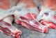 БАБХ установи над 100 кг агнешко месо и субпродукти без документи при проверка в Кресненско