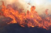 Пожарът край Дупница ограничи движението по Е-79 в района на Джерман