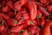 Опасна пратка! 11,6 тона чушки с наднормено съдържание на форметанат спипани на ГКПП-Златарево
