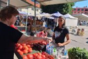 РЕПОРТАЖ ОТ ПЪРВО ЛИЦЕ! Аронията и малините поевтиняха на пазара в Гоце Делчев, гроздето също с по-ниски цени
