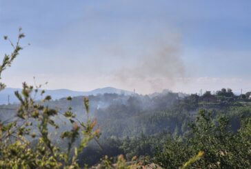 Къща изгоря в големия пожар в благоевградското село Дъбрава