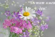 Чудесни имена празнуват днес
