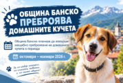 Община Банско преброява домашните кучета