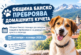 Община Банско преброява домашните кучета
