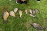Украински риболовци крадат трофейна риба от яз. „Пчелина“