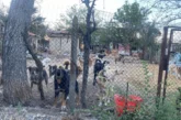Извеждат от „Дома на ужасите“ в село Прибой десетки кучета