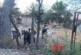 Извеждат от „Дома на ужасите“ в село Прибой десетки кучета