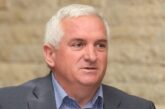 Започва преброяване на безстопанствените кучета в община Сатовча