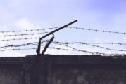 Ефективни присъди за двама кюстендилци за държане на високорискови наркотични вещества
