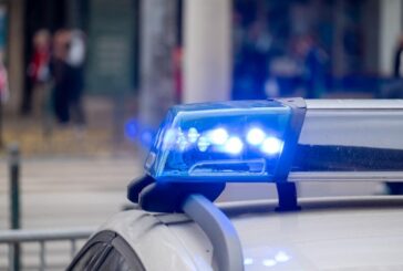 Убиха домашно куче в Кюстендил, задържаха мъж за закани и заплахи за убийство към свой съселянин в Червен брег