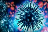 Регистриран е първият за сезон 2026-2027 г. грипен вирус A(H3N2)