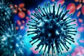 Регистриран е първият за сезон 2026-2027 г. грипен вирус A(H3N2)