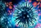 Регистриран е първият за сезон 2026-2027 г. грипен вирус A(H3N2)