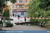 Ураганен вятър затвори училищата в Сливен