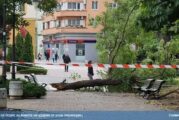 Ураганен вятър затвори училищата в Сливен