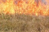 Три екипа огнеборци гасиха пожар в санданското село Пиперица