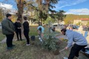 Доброволческа акция по засаждане на декоративни дървета и храсти се проведе в Дупница