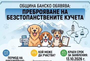 Община Банско започва преброяване на безстопанствените кучета